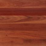 Red Mahogany